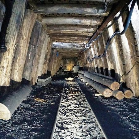 La Machine Sous Toit Daire Dış mekan fotoğraf